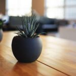 Helvita Website Redesign